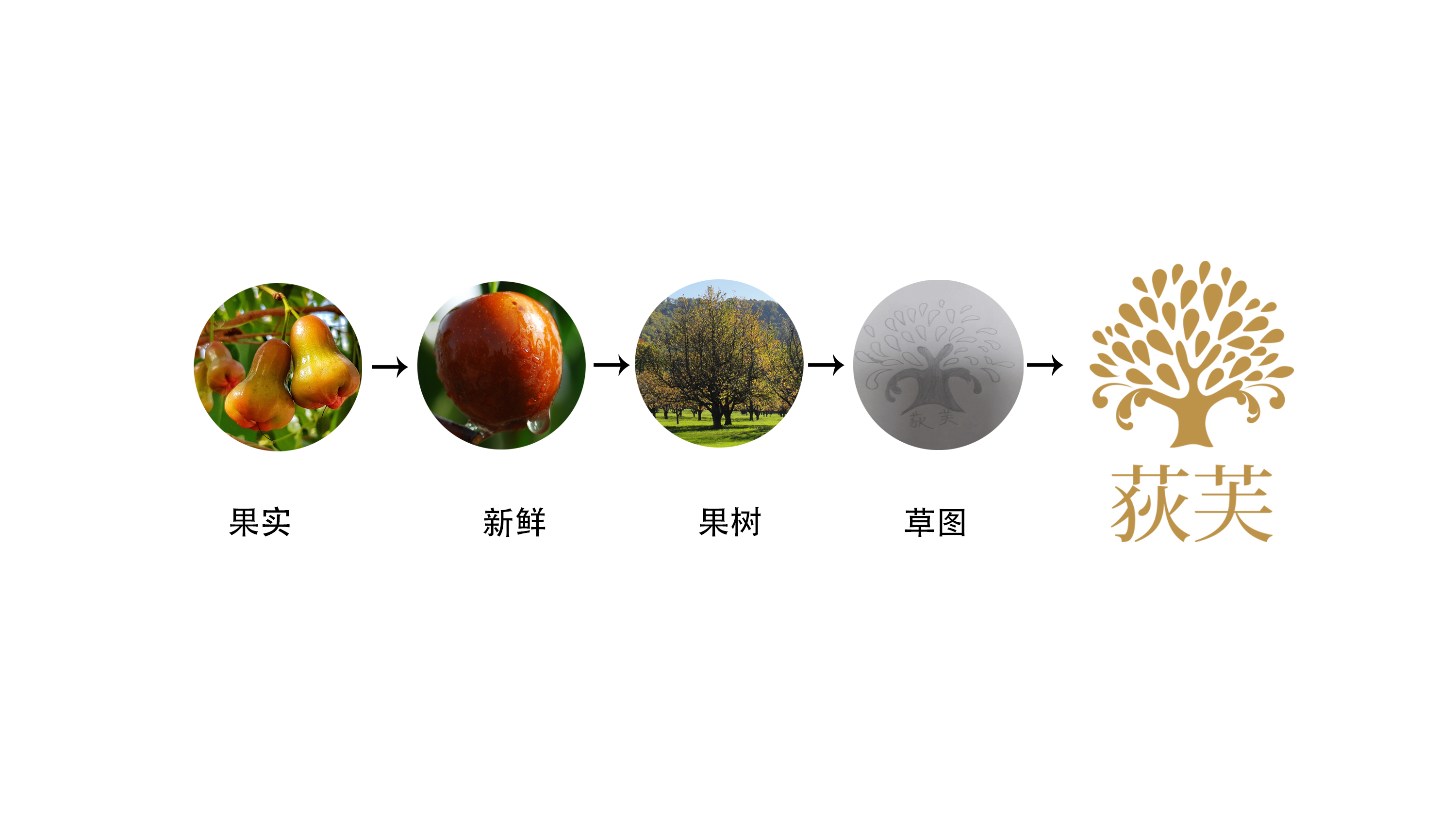 品牌標志設計